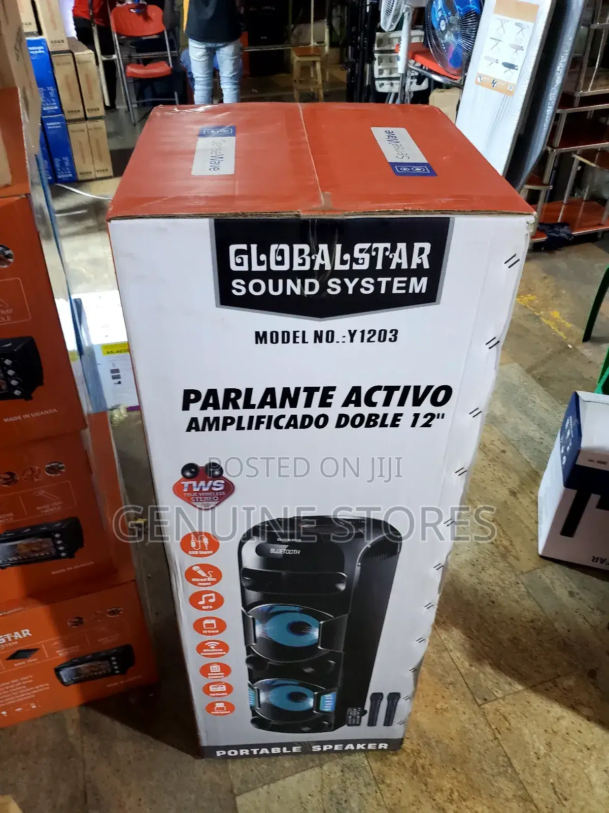 Rechargeable Speaker of 12 Inches of 2 Microphones(Bis Size)