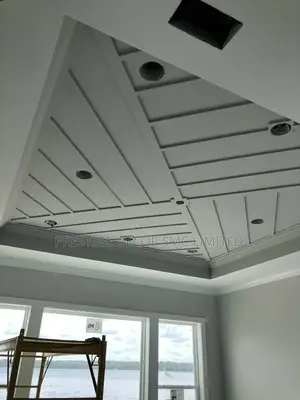 Gypsum Viva Ceiling