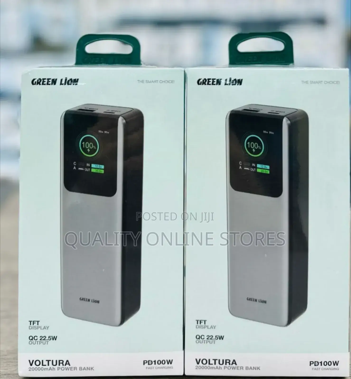 Green Lion Power Bank