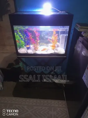 Medium Size Well Designed Aquarium.