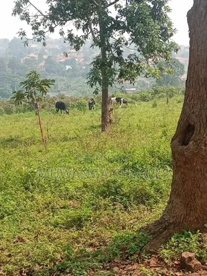 Land for Sale in Buwambo