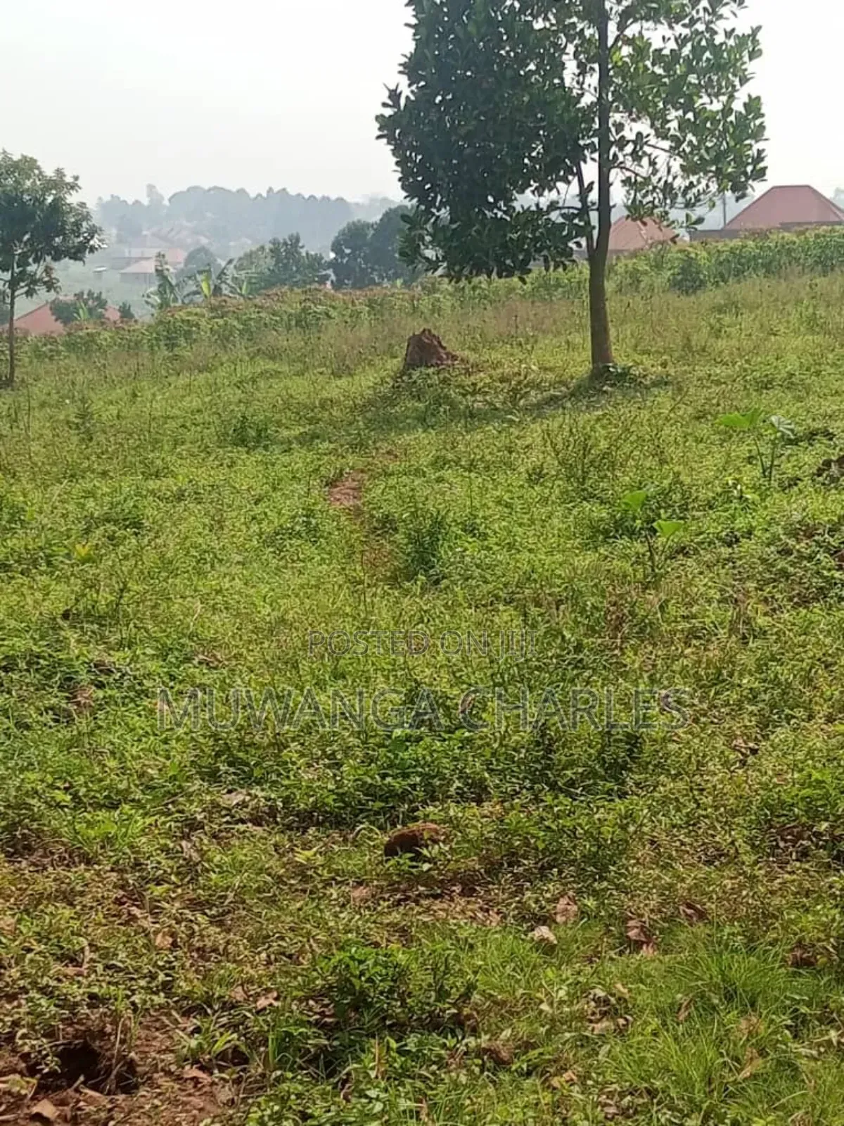 Land for Sale in Buwambo