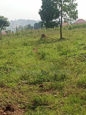 Land for Sale in Buwambo