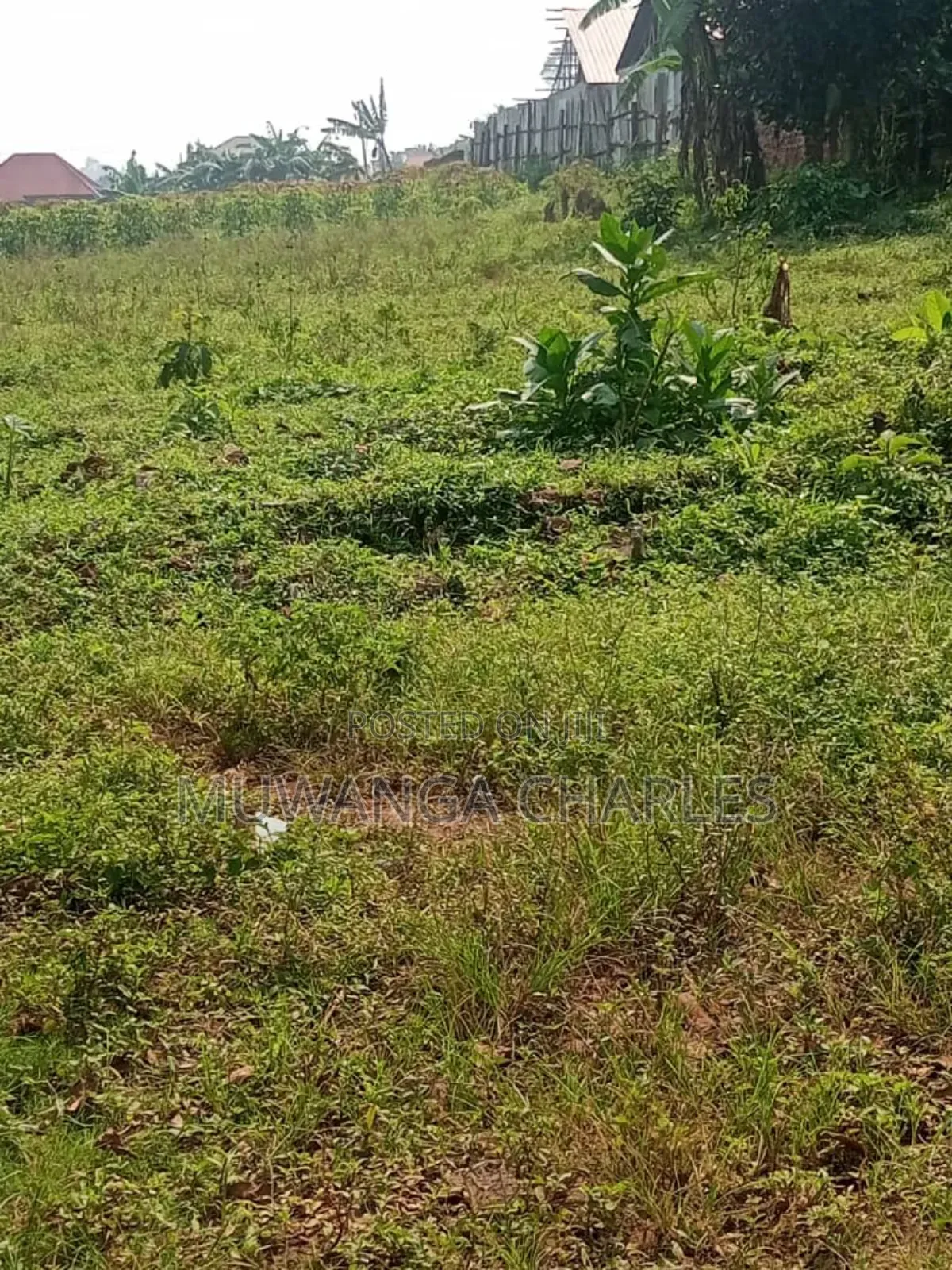Land for Sale in Buwambo
