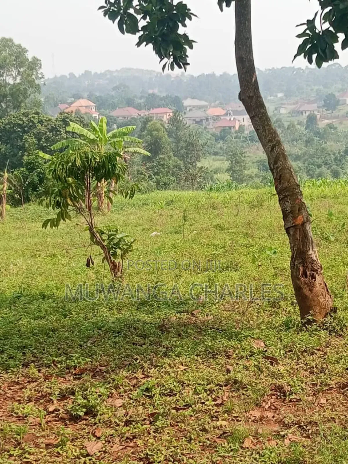 Land for Sale in Buwambo