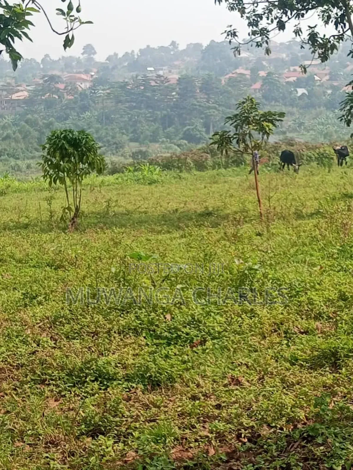Land for Sale in Buwambo