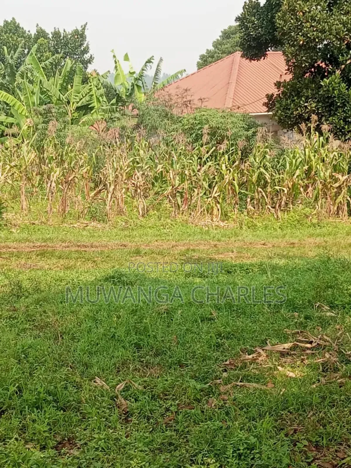Land for Sale in Buwambo