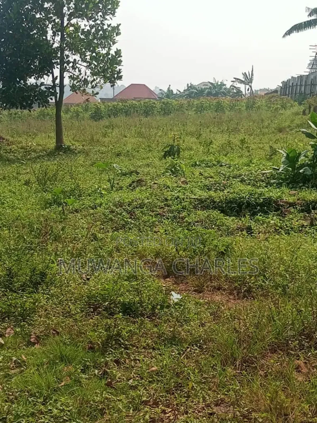 Land for Sale in Buwambo