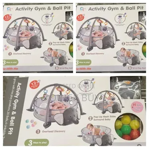 Activity New Gym and Ball Pit