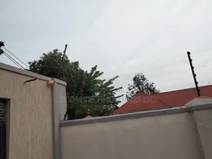 Electric Fence on 20 Decimals