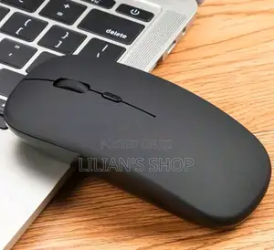 Wireless Silent Mouse - Black