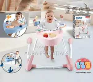 Step Into Fun 2 in 1 Baby Walker