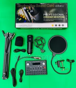 Premium Legendary Ultimate Condenser Microphone