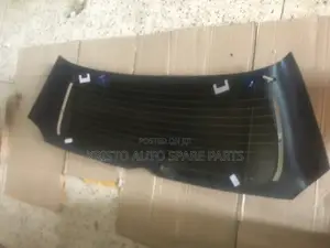 Behind Wind Mirror Toyota Wish
