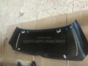 Behind Wind Mirror Toyota Wish
