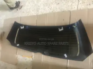 Behind Wind Mirror Toyota Wish