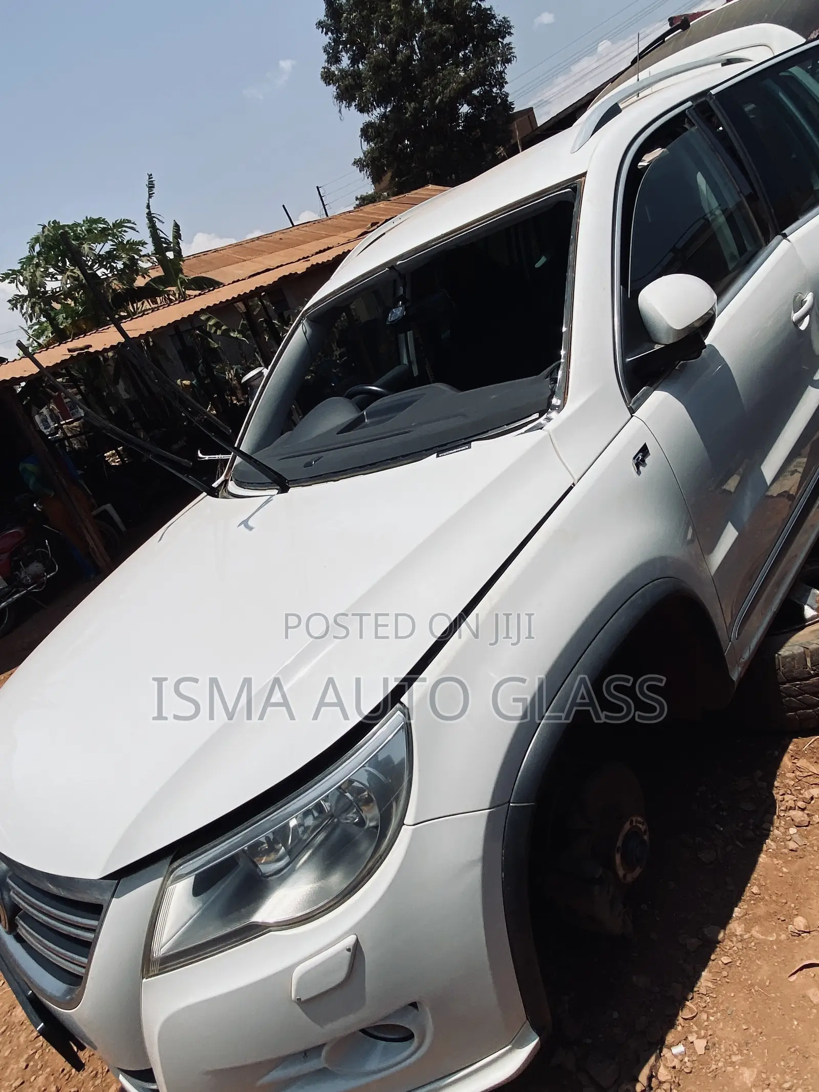 Car Windscreens