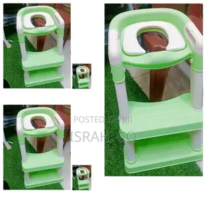 A Potty Training Seat With a Step Stool Ladder