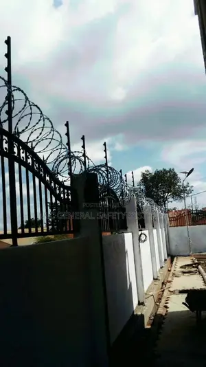 Electric Fence With Razor Wire