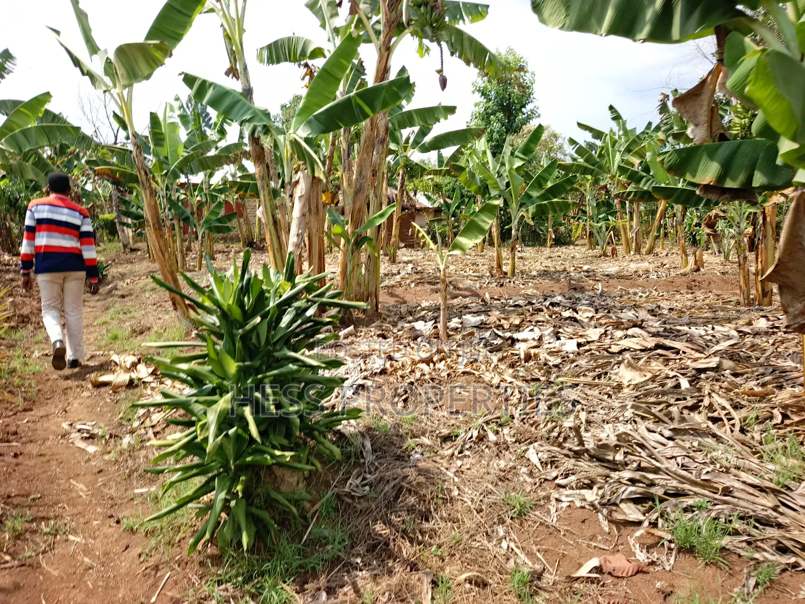 Residential Land Sale
