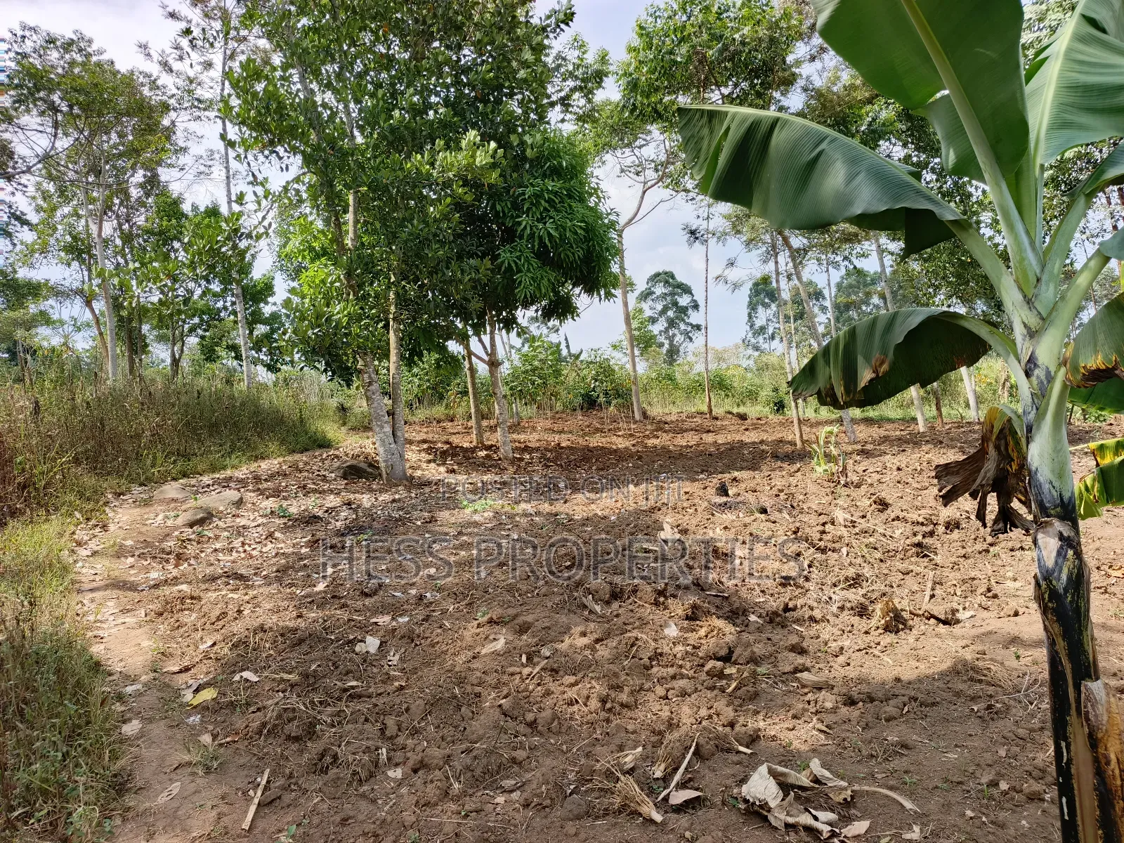 Residential Land Sale