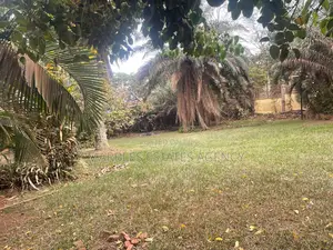 4bdrm House in Kololo, Central Division for rent