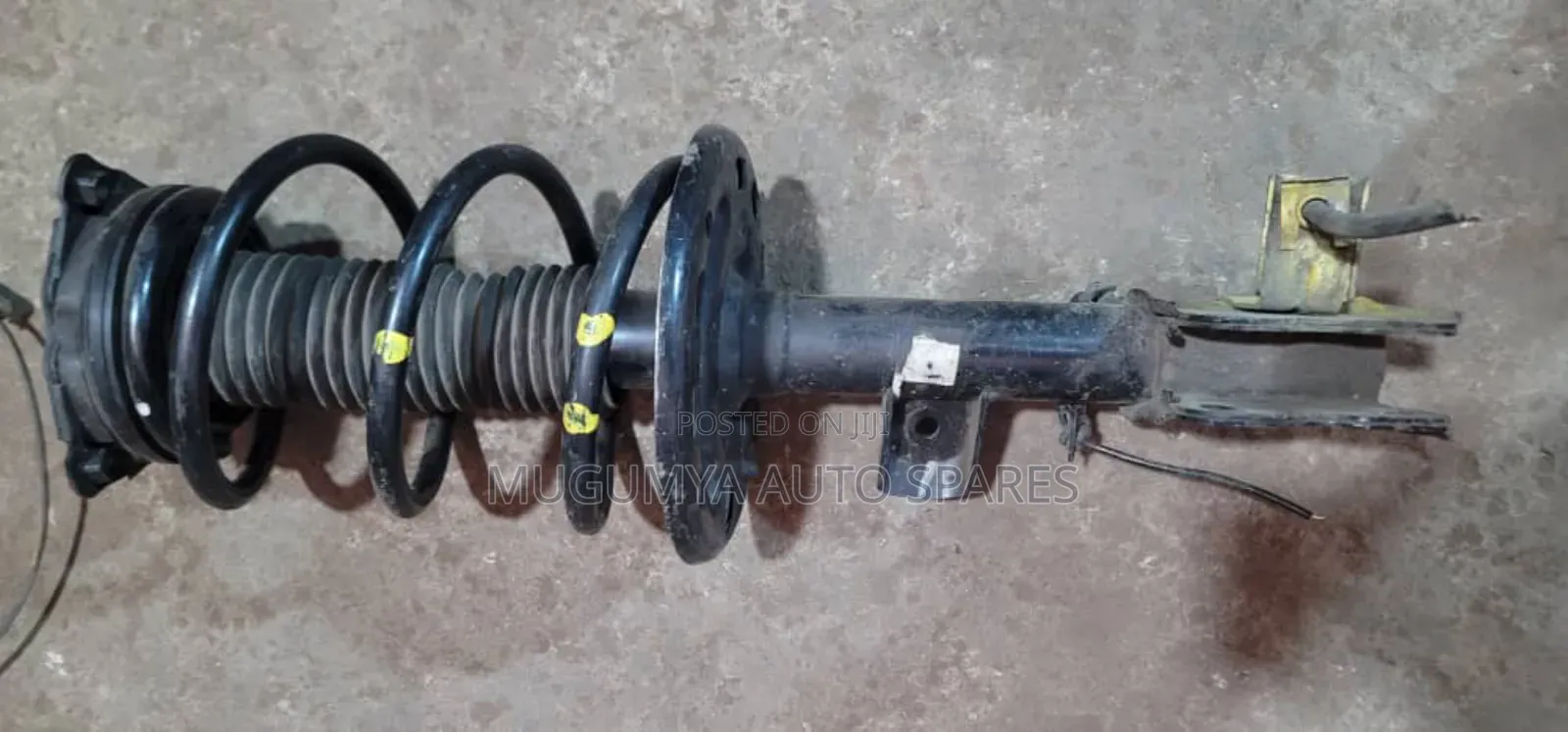 Nissan Teana and Murano Front Shock Absorber