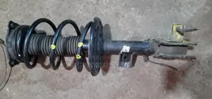 Nissan Teana and Murano Front Shock Absorber