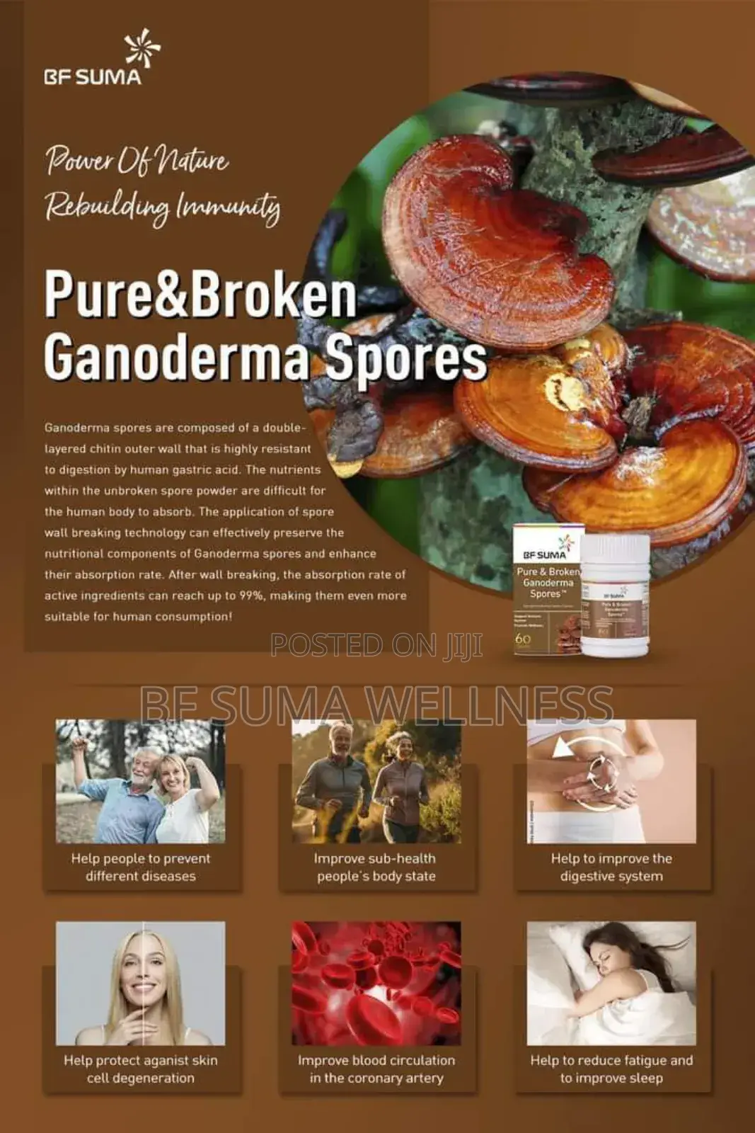 Pure and Broken Garnoderma Spore (60 Capsules)
