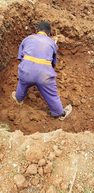 Biodigester Setting