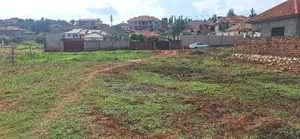 Plot's for Sale in Bulindo