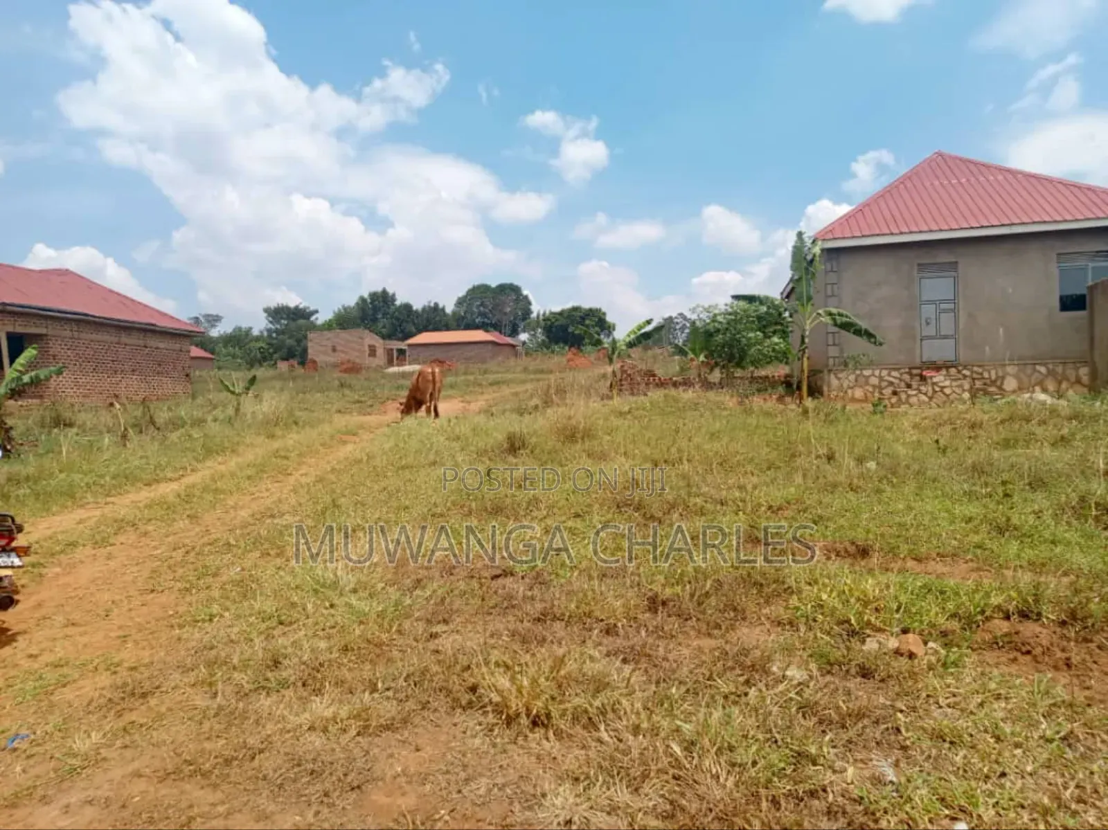 Plot's for Sale in Namulonge