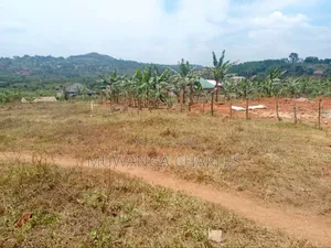 Plot's for Sale in Namulonge