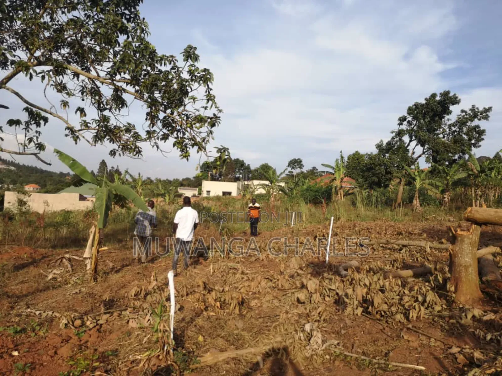 Plot's for Sale in Busika Near Town