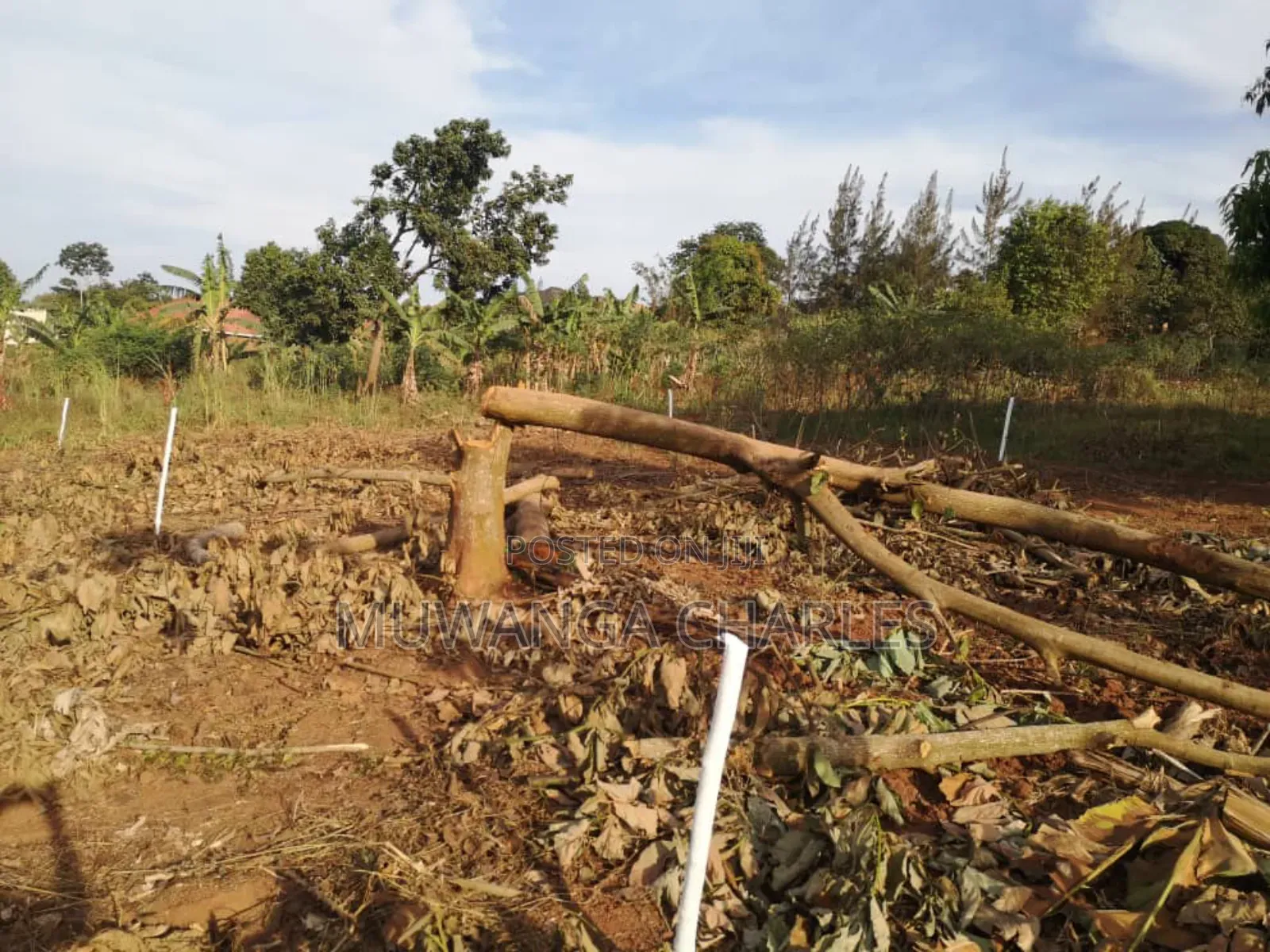 Plot's for Sale in Busika Near Town