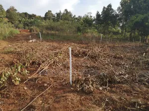 Plot's for Sale in Busika Near Town