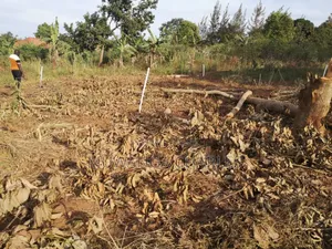 Plot's for Sale in Busika Near Town