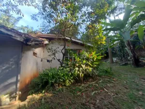 Plot's for Sale in Busika Near Town