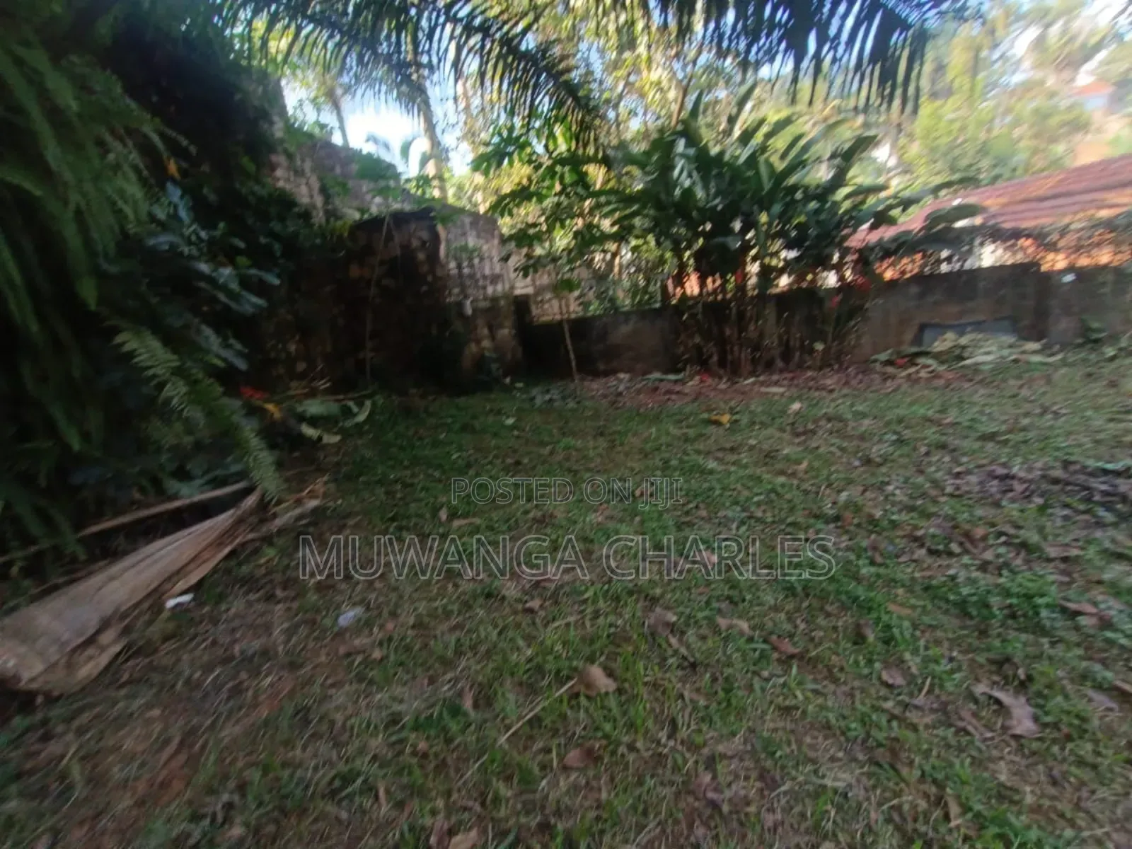 Plot's for Sale in Busika Near Town