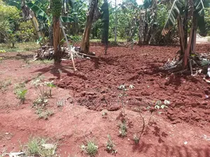 Land for Sale in Luwero Wabutungulu