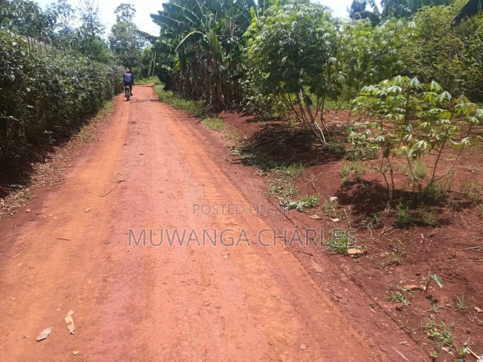 Land for Sale in Luwero Wabutungulu