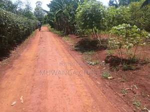 Land for Sale in Luwero Wabutungulu
