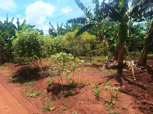 Land for Sale in Luwero Wabutungulu