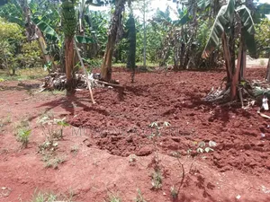 Land for Sale in Luwero Wabutungulu