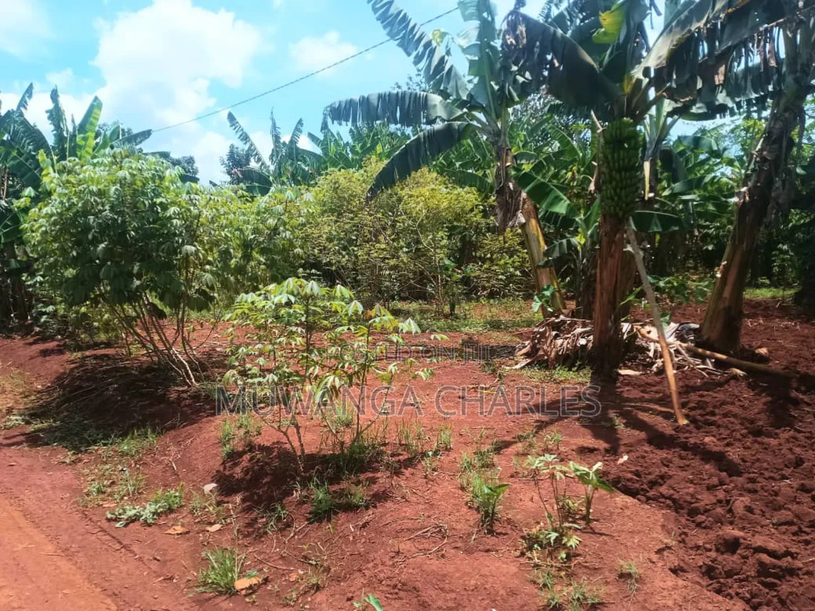 Land for Sale in Luwero Wabutungulu