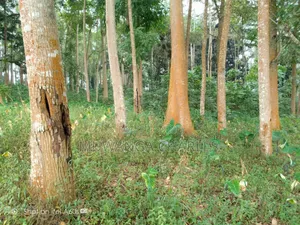 Land for Sale in Vumba Zirobwe Road