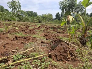 Land for Sale in Vumba Zirobwe Road