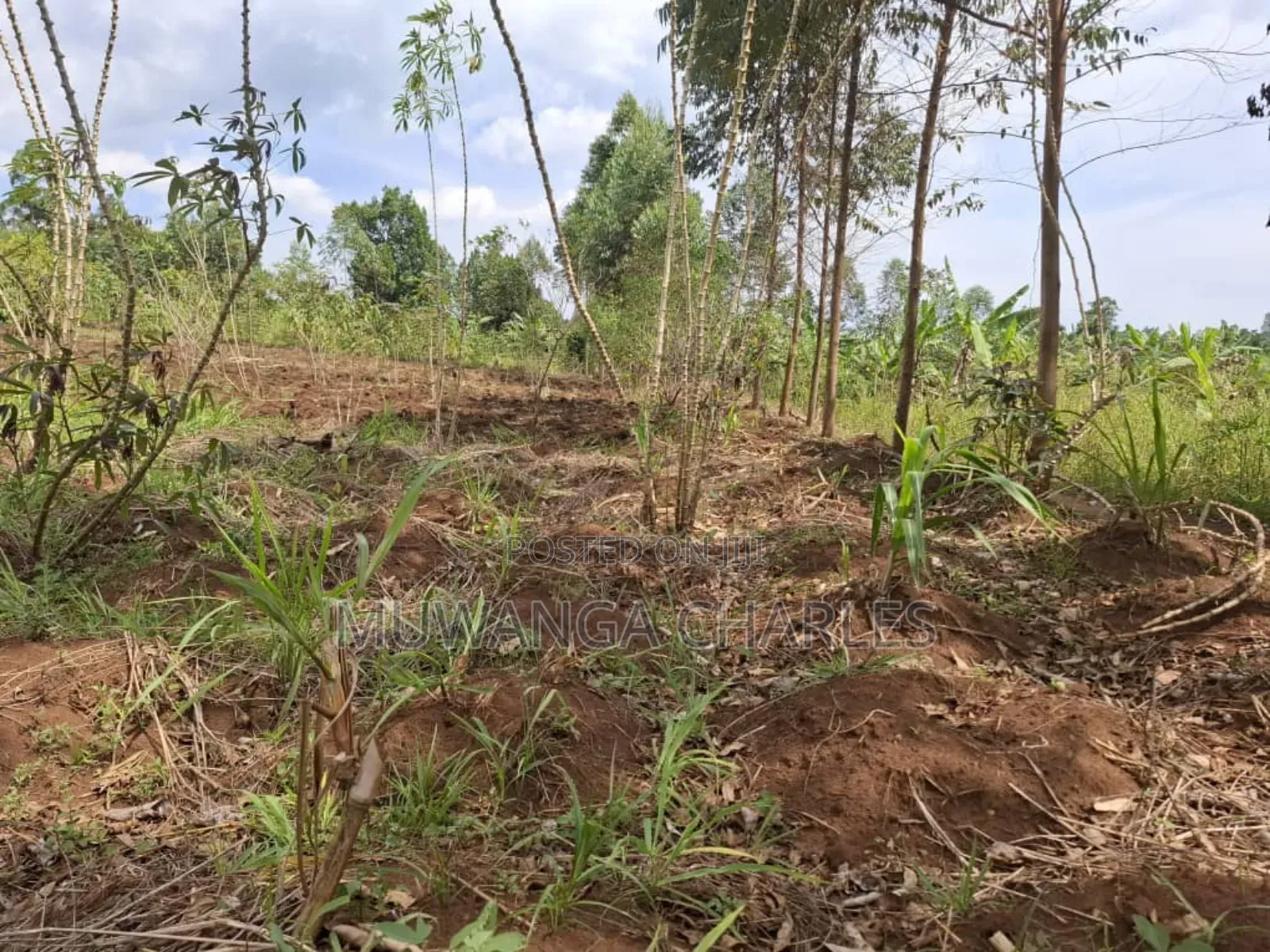 Land for Sale in Vumba Zirobwe Road