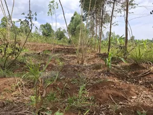 Land for Sale in Vumba Zirobwe Road