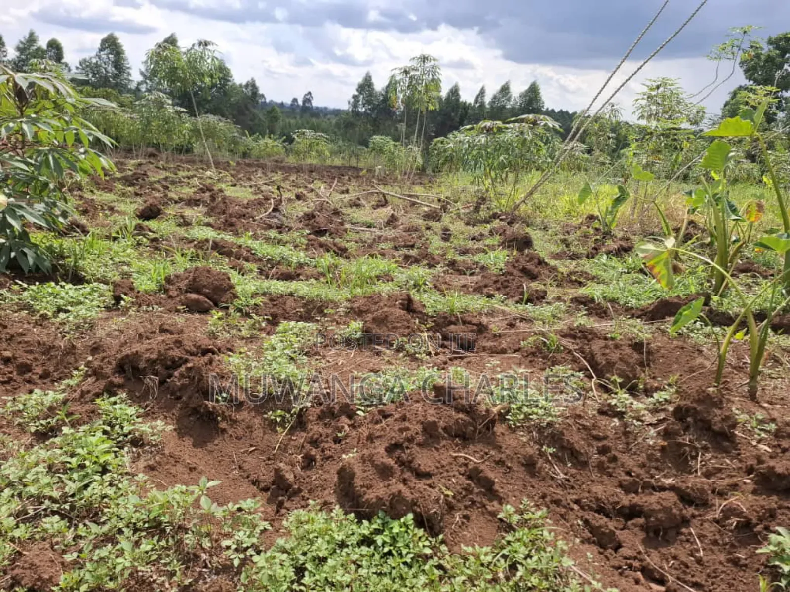 Land for Sale in Vumba Zirobwe Road